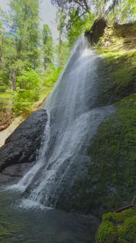 Gazing up at an elegant cascading waterfall nestled in the forest, where nature’s beauty flows effortlessly in perfect harmony 😍 #nature #Outdoors #cinematic #calm #waterfall