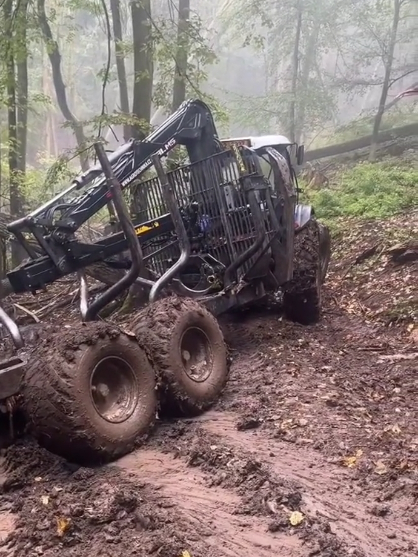 HARD WORK FOREST TRACTOR #tigercat_forest_ma #logging #loggers #tigercat_forest_machines #tigercatforestry #timberjack #logging #loggers #bucheron 