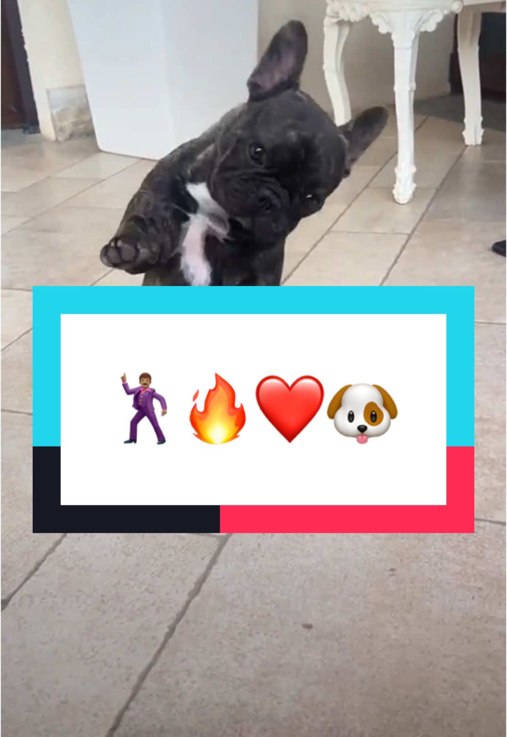 🐶🕺🏽❤️🥰 #bouledoguefrançais #bouledogue #bulldogfrances #bulldog #bulldogsoftiktok #bulldogfunny #animauxdrole #animaux #animauxdecompagnie #viralditiktok #foryour #poutoi #foryoupage❤️❤️ #viral_video #virał #boulyboss #danse #chien #dog 