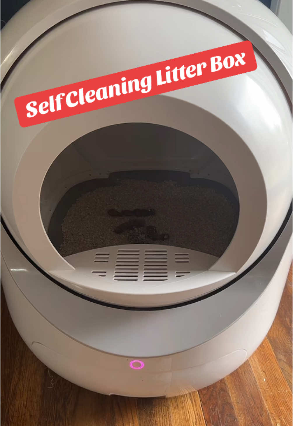 Self Cleaning Litter Box. Very Cool!!! #cats #catowner #catlover #catsoftiktok #selfcleaninglitterbox 