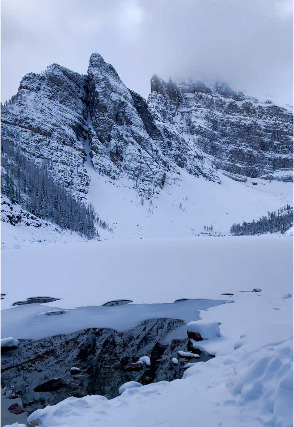 Winter wonderland #canada #🇨🇦 #banff #mountains #snow