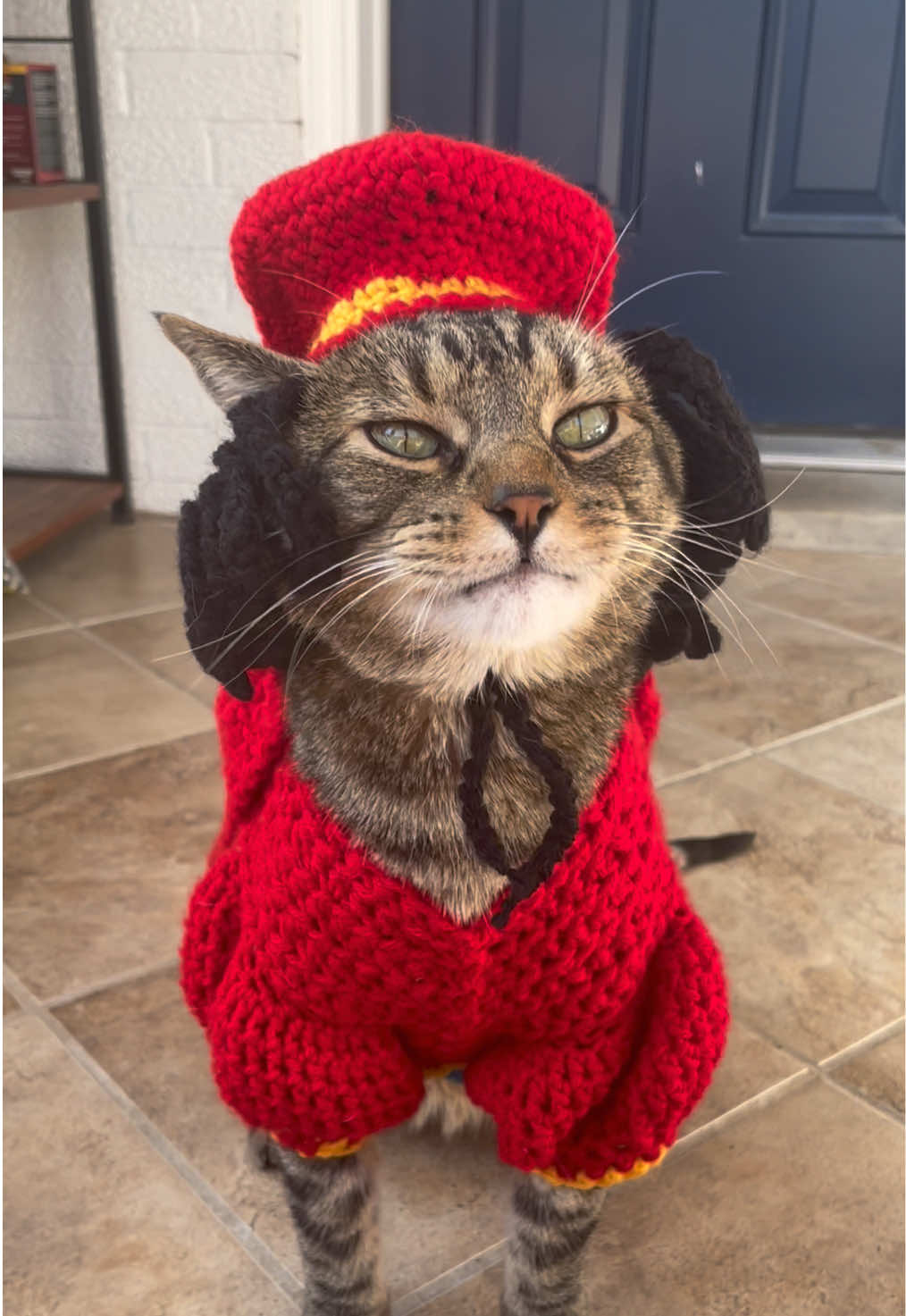 Not the gumdrop buttons! #shrek #lordfarquaad #gingerbreadman #chanceinhats #cathat #catsinhats #crochetcathat #dogsnood 