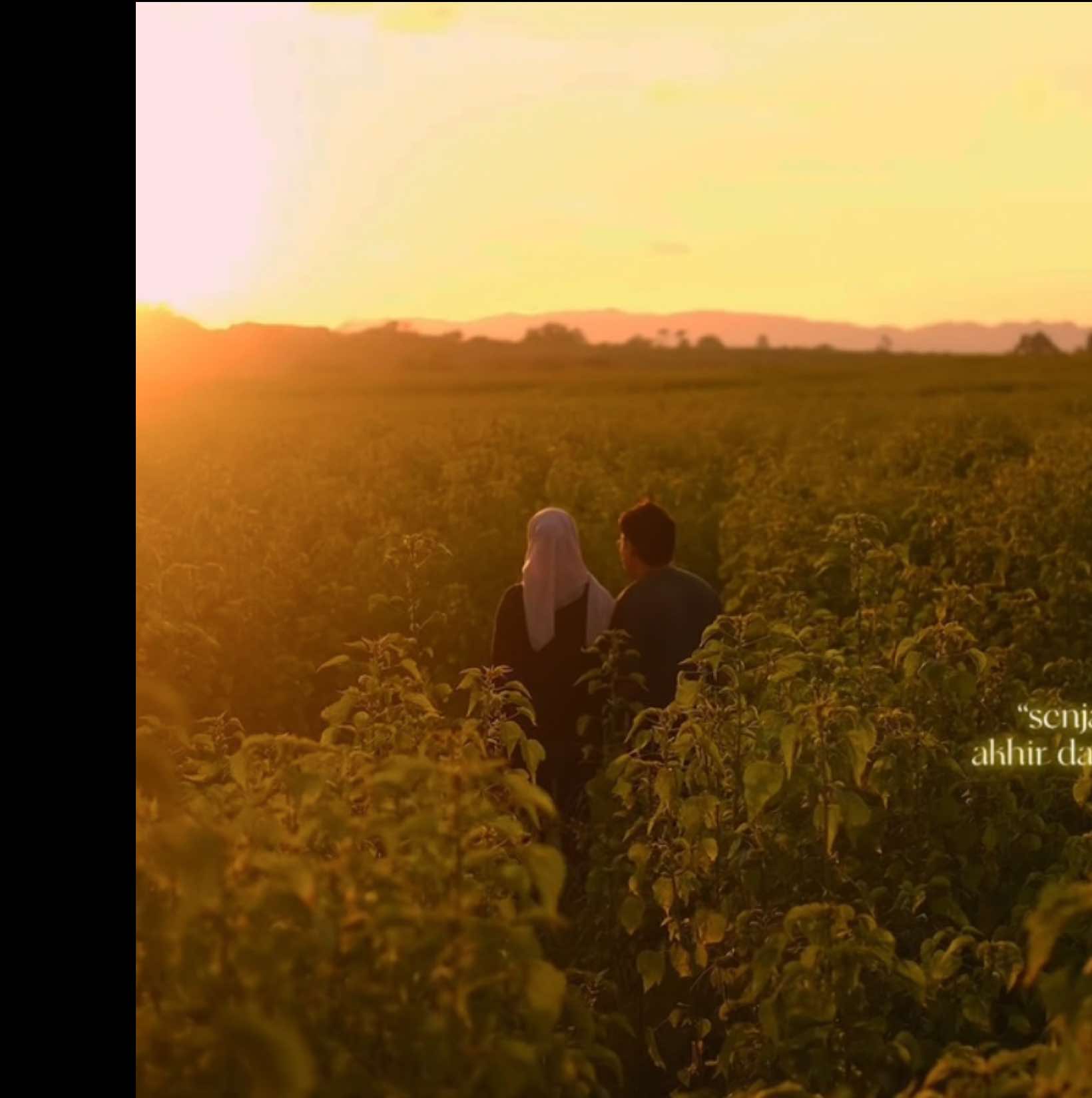 Senja dan kamu adalah satu paduan imaji yang tak kunjung henti untuk menjadi sebuah candu dari kata suka.@D #chupingperlis #perlisinderakayangan #fujifilm #senja #kenaf