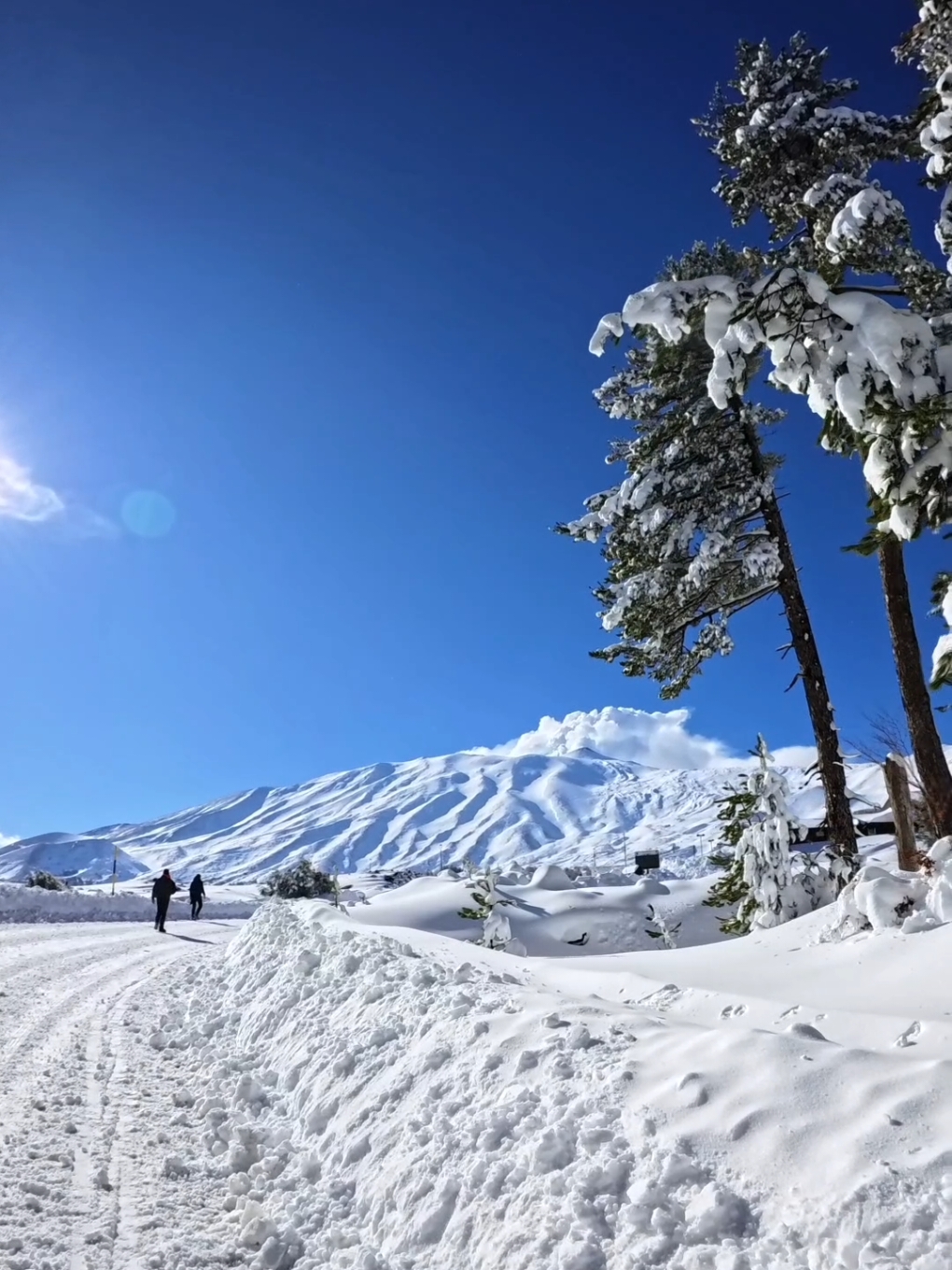 ✨🏔️ Vulcano Etna ❄️✨ L'Etna ci sorprende ancora una volta!! ❄️🤍 Un'esperienza indimenticabile passeggiare tra crateri fumanti e paesaggi innevati 🌨️⛄ ❗Le attività da svolgere sono tantissime: Trekking sulla neve, ciaspolate, creare pupazzi di neve, giocare con slittini e palle di neve ☃️🏂🏻 Adatto a tutti, grandi e piccini, l'occasione ideale per trascorrere un po' di tempo insieme! 🩵🩵 🌋 L'Etna ci regala emozioni uniche in ogni stagione ❤️ Vi invitiamo a non perdere questa splendida occasione! Fateci sapere le vostre esperienze! Vi leggiamo nei commenti 📩📩 #alongway #alongwayteam #etnavulcano #etna #pianoprovenzana #snow