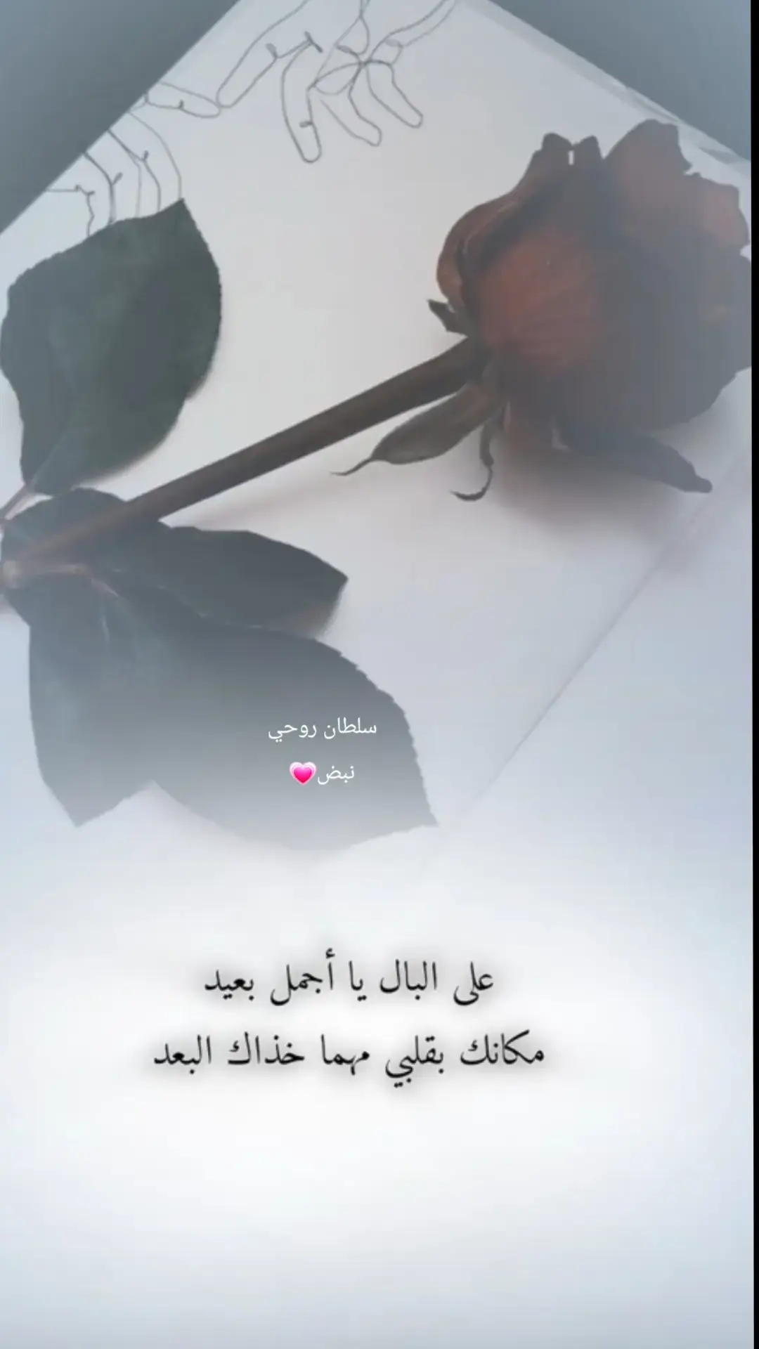 #نبض💗 