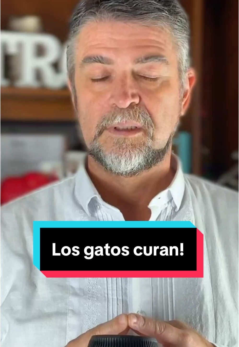 Los gatos curan! #estrogeno #leonmachado #frases #amorpropio #longervideos 