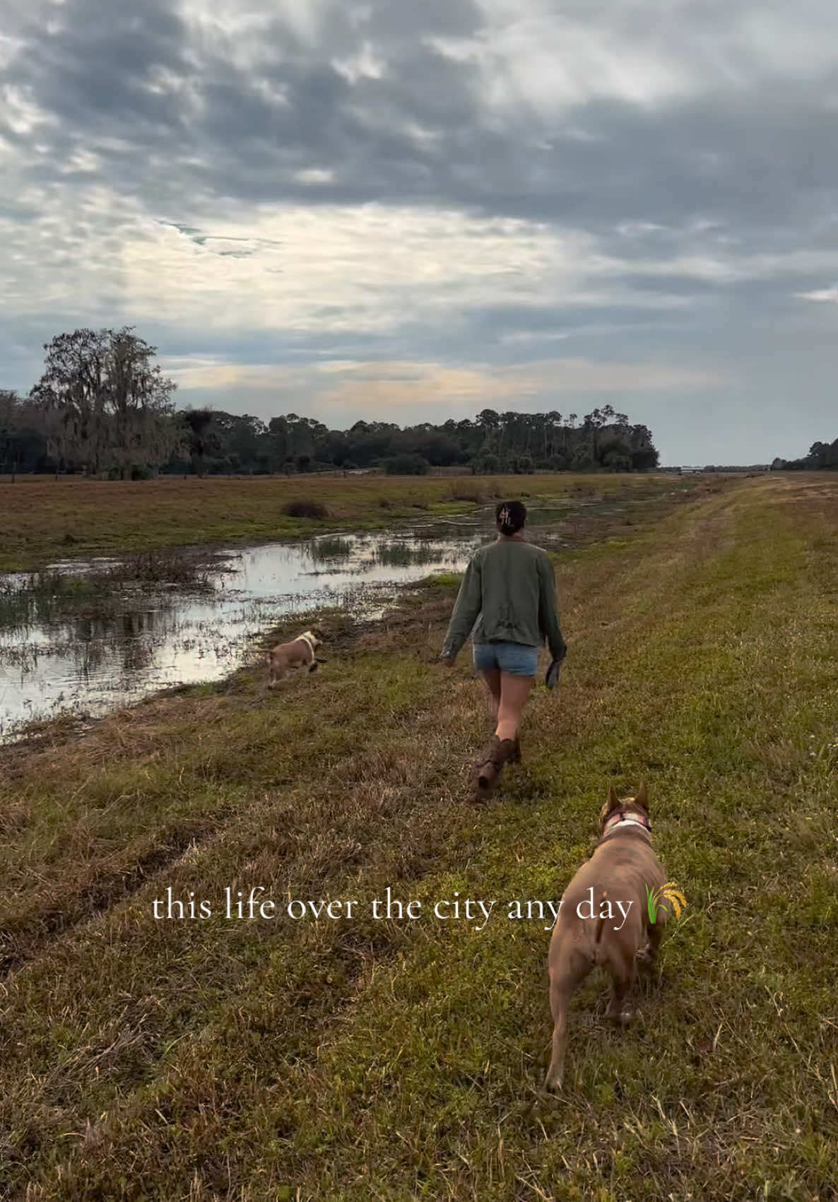 All I need are my doggies and wide open spaces 🫶🏼 #countryliving #floridalife #doglife #dayinthelife #countryvscity #southerngirl 