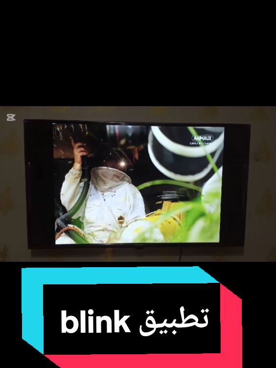 تطبيق blink stream#tv #tvshow #filme #series #astuce #videoviral #tik_tok #foryoupage❤️❤️