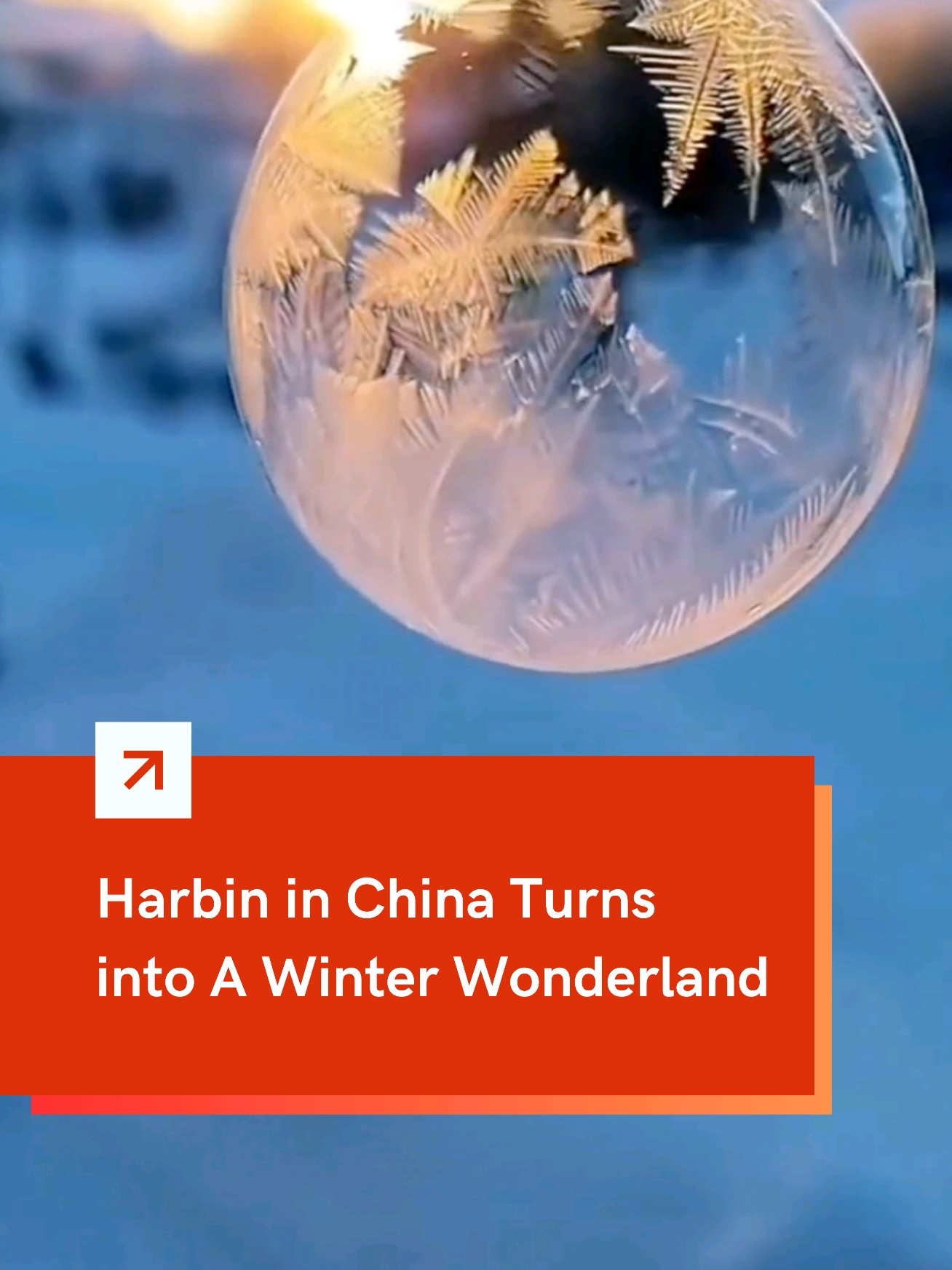 As #NYC wears a blanket of white,  #Harbin in #China also turns into a #winter wonderland.❄️✨ #china #snow 