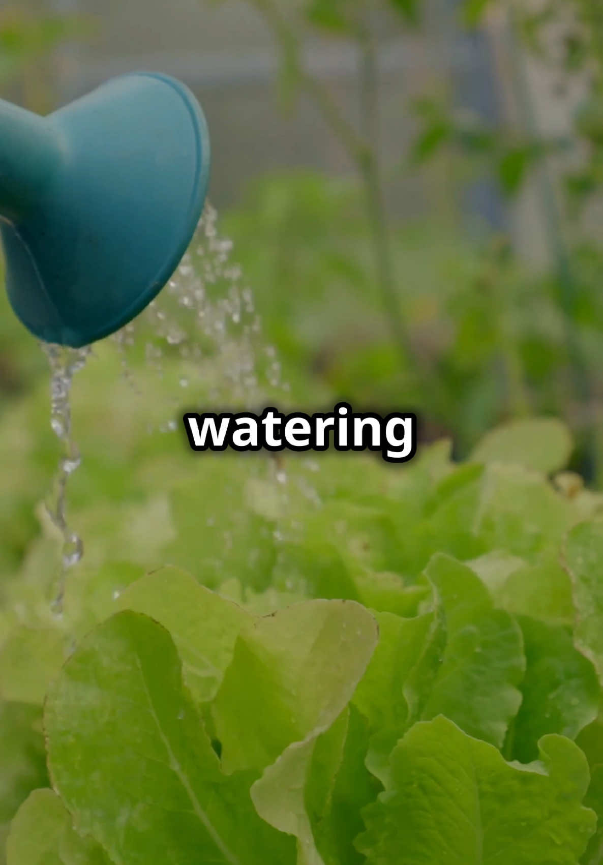 How to water your flowers💧💐 #fyp #funny #comedy #sarcasm #silly #viral #isntfiction #reels #shorts #uselessfacts #random #randomfacts #random #useless 