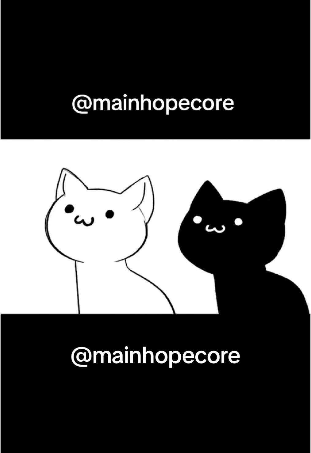 #fyp #cat #cheese #mainhopecore #Love #sweet #vibe 