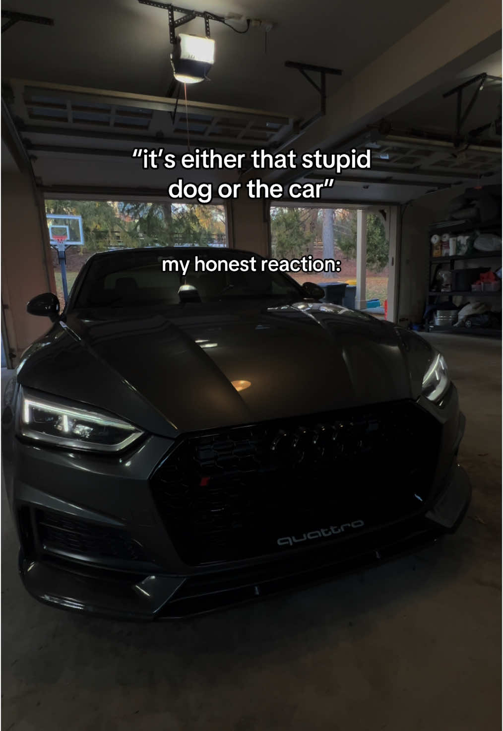 choosing both #fyp #dog #audi #viral 