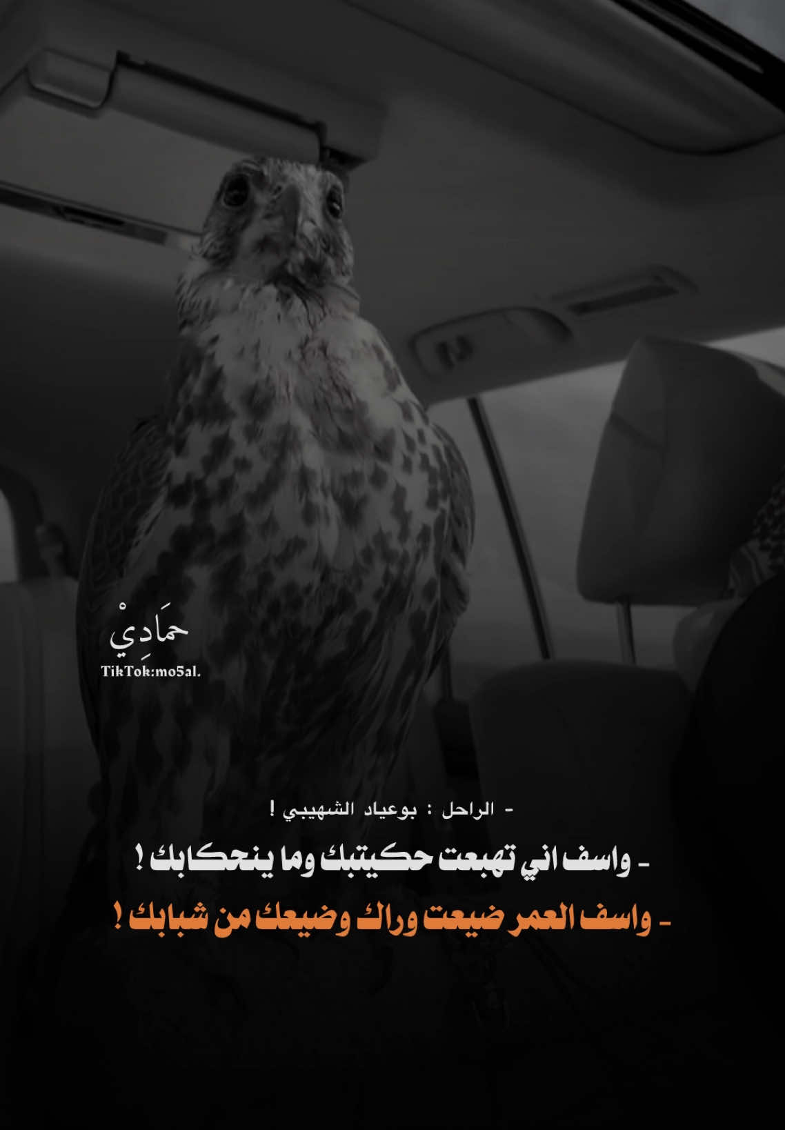 - اسف بحبك ولعت وانتي ملوث شرابك🖤🔥! - واسف تهبعت حكيتبك وماينحكابك !  - #ليبيا #صالح_بوعياد_الشهيبي #طبرق #الجبل_الاخضر #شعراء_وذواقين_الشعر_الشعبي #fyp #foryoupag #viraltiktok 