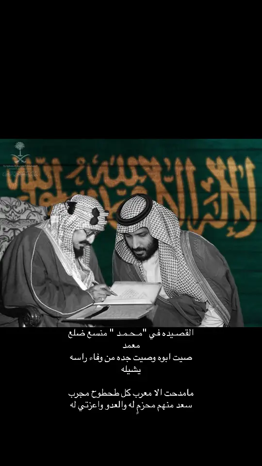 #محمد_بن_سلمان #MBS #vir #fyp 