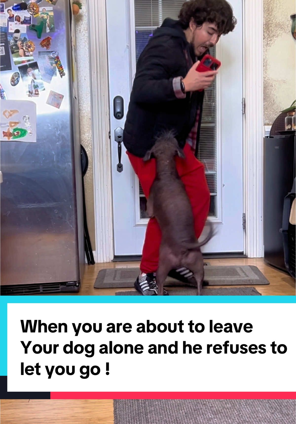 When your dog doesn’t want you to leave him Alone at home 🐶#creatorsearchinsights #dogseparationanxiety #dogproblems #dogbadbehavior #xolo #dogsoftiktok #funnydogvideos #dogdad #dogdaddy #dogissues #doglife 