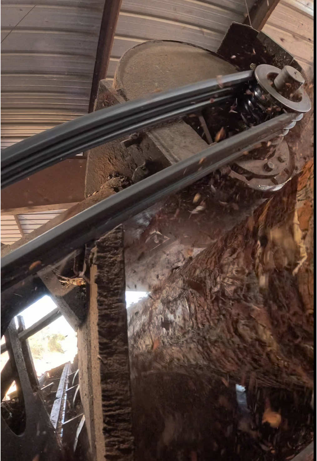 Efficiently debarking pine logs with the HMC debarker, ensuring a clean and smooth surface for further processing. The HMC debarker’s high-performance capabilities make quick work of removing bark, improving the quality of timber and reducing wear on sawmill equipment. #PineLogs #Debarking #HMCDebarker #TimberProcessing #LumberProduction #Woodworking #Forestry #Sawing #LogProcessing #SawmillEfficiency #CleanLogs #WoodworkingTools