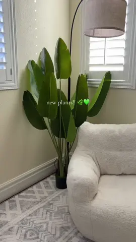 Next is to get planters for them 🥰💚🌿 #plantsoftiktok #plants #fakeplants #tiktokshopfinds #tiktokshopping #homedecorideas 