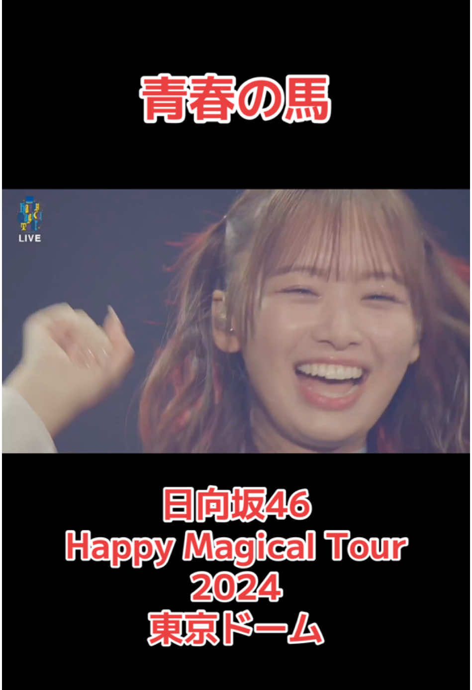 #日向坂46  #happymagicaltour2024  #青春の馬  #濱岸ひより 