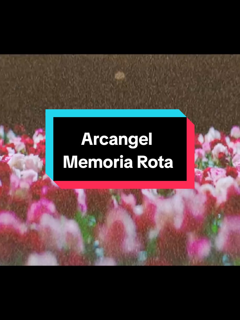 Tengo la Memoria Rota de tanto recordarte.....#lamaravilla #memoriarotaarcangel #fyp #arcangeloficial #arca #memoriarota #miketowers #miketowers_oficial #paratiiiiiiiiiiiiiiiiiiiiiiiiiiiiiii #🎶🎵🎼 #arcangel 