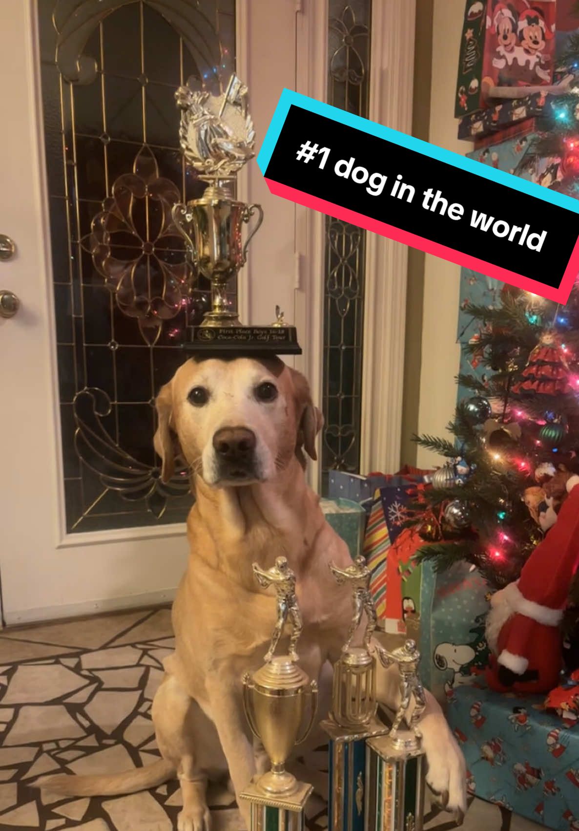 If you ain’t first, you last! #1 #foryoupage #happyholidays 