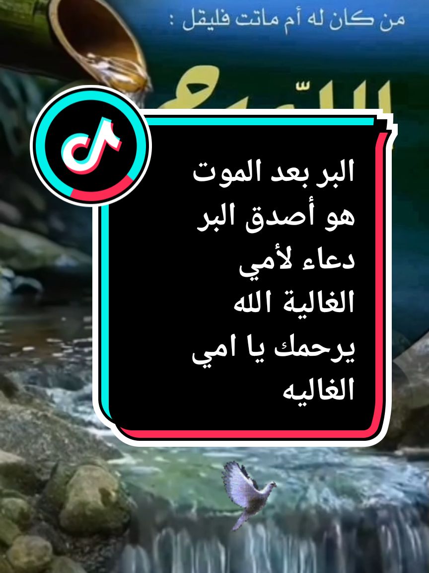 الله يرحمك يا امي الغاليه #رحمك_الله_يا_فقيد_قلبي #اللهم_ارحم_موتانا_وموتى_المسلمين #رحمك_الله_يا_فقيد_قلبي😭💔 #اللهم_ارحم_امي_وجميع_امهات_المسلمين #اللهم_ارحم_امي 