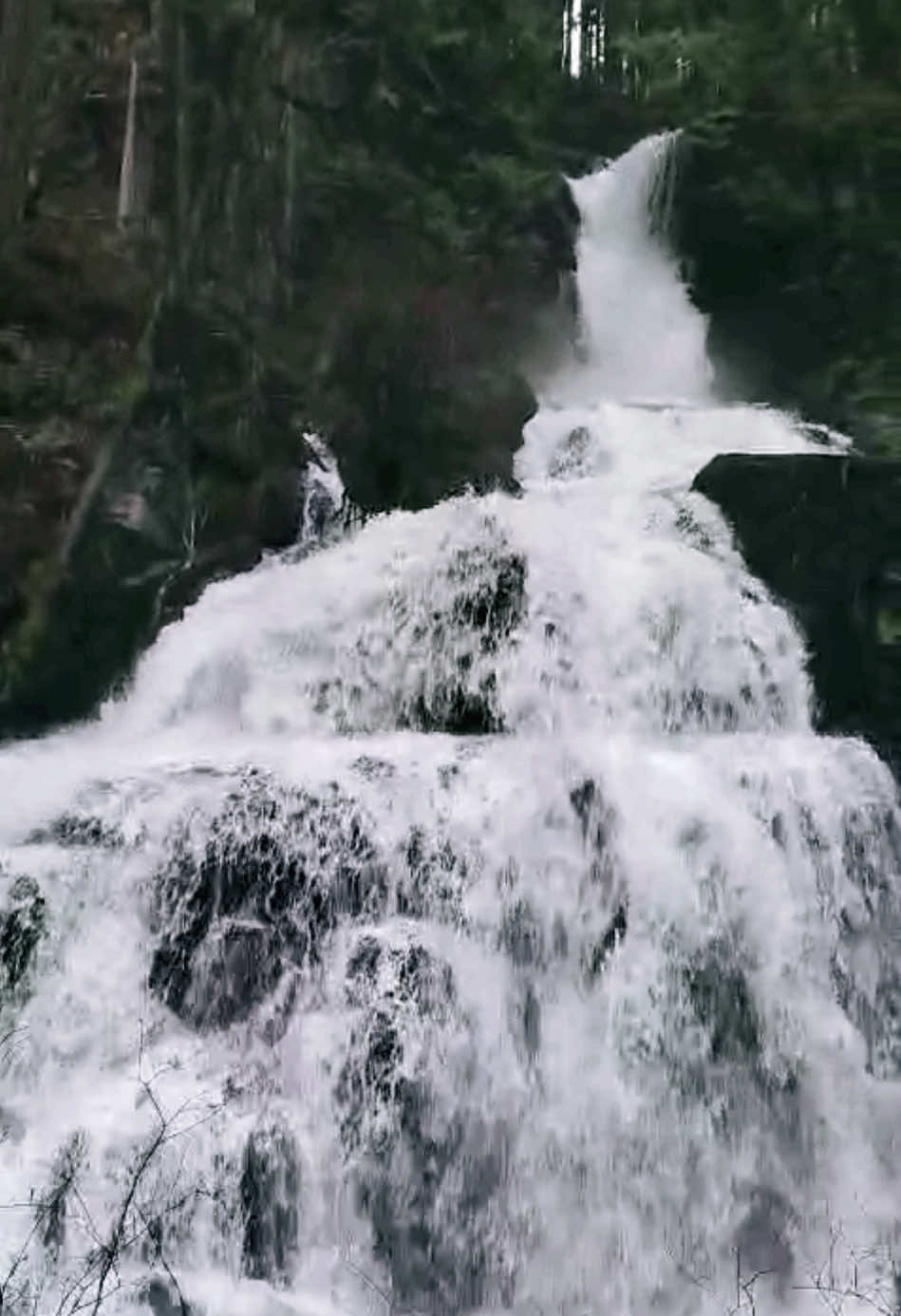 Chasing waterfalls at Steelhead Falls 🌊✨ Mission, BC’s hidden gem! Nature never fails to amaze. 🌲💦  #SteelheadFalls #MissionBC #NatureLovers #TravelVibes #HiddenGems #ExploreBC #Wanderlust