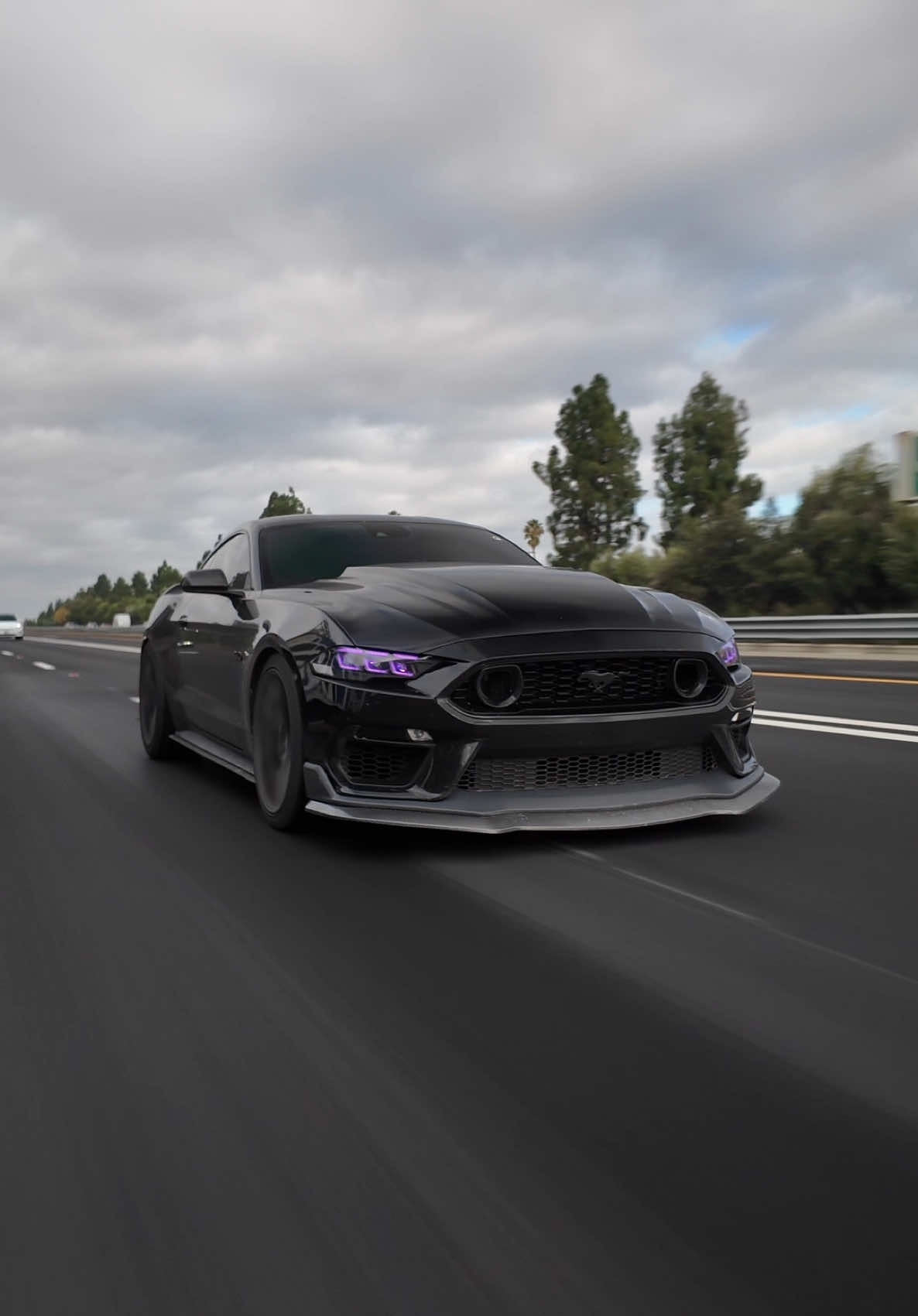 Name a better sounding V8, I bet you can’t @🌴 Fiji_dasanii 🌴 #cars #s550mustang #fordmustang #mustang_freakzz #mustangsofinstagram #550only #americanmuscle #mustangclub #fordperformance #mustangweek #mustanggt #mustangnation #worldwidestangs #fordmustang #carsofinstagram #mustangsdaily #stangnation #mustanggt #photography #americanmuscle 