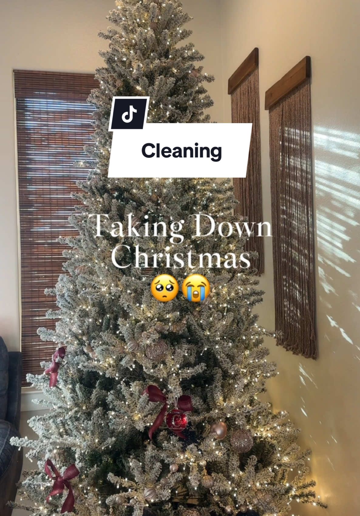 I’m always sad to see Christmas go but was ready to get my house back in order 🥸 #christmas #christmasdecor #cleanwithme #2025 #cleaning