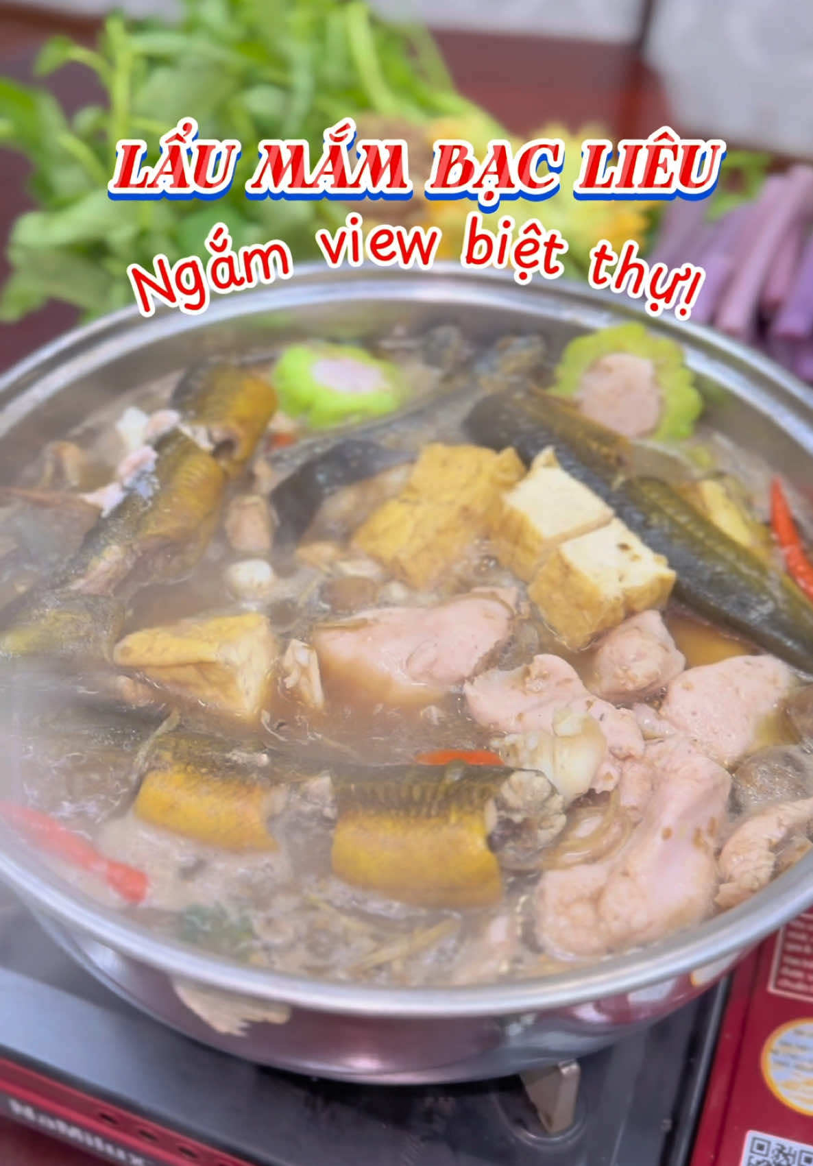 Ăn lẩu mắm Bạc Liêu ngắm view biệt thự siêu đỉnh #ancungtiktok #laumam #laumambaclieu #baclieu #baclieudidau 