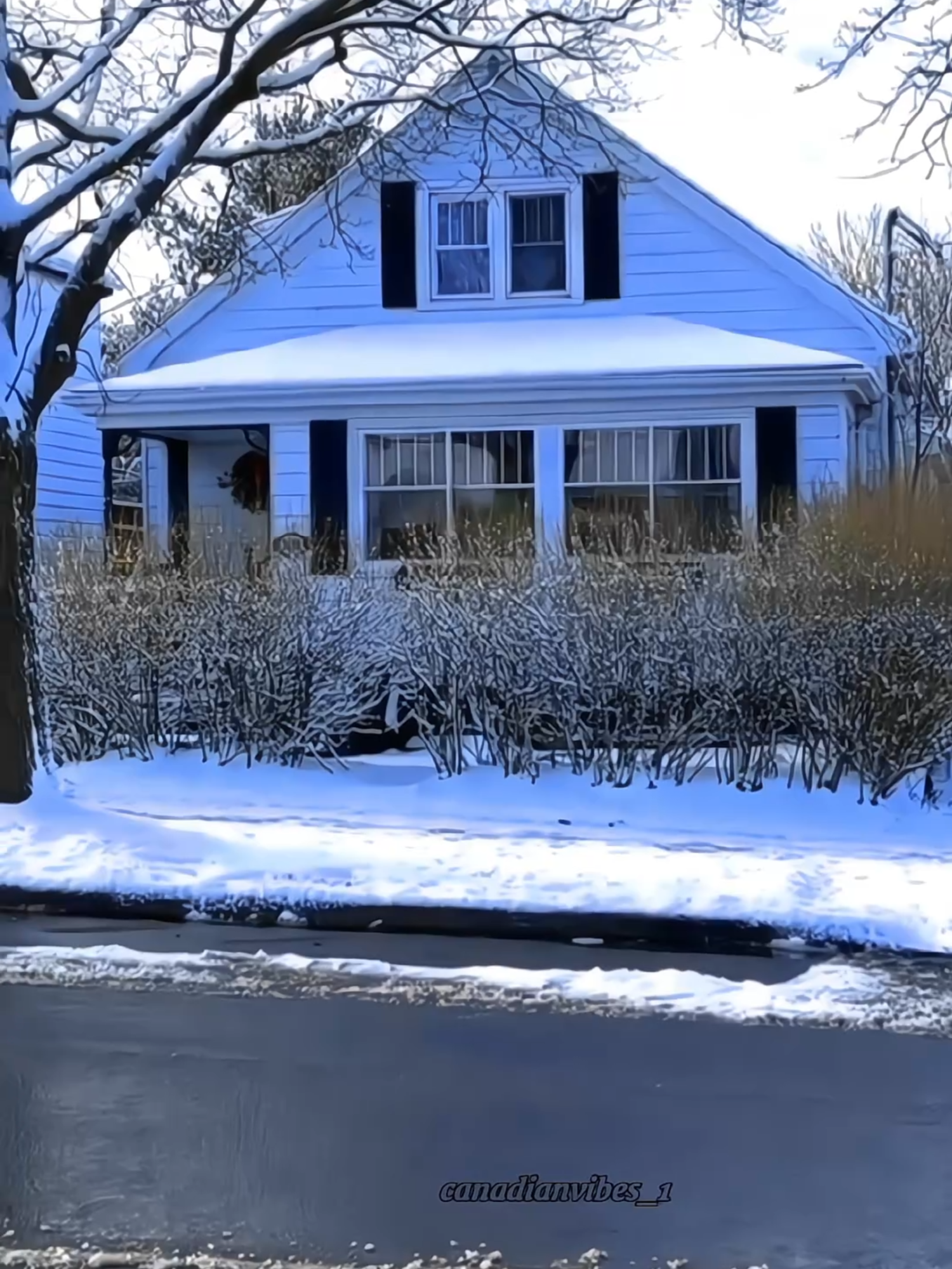 Winter in Canadá❄️ #🇨🇦 #canadalife #dream #vibes #canadavibes #Aesthetic #neighborhood #yourdream #canadavibes🇨🇦