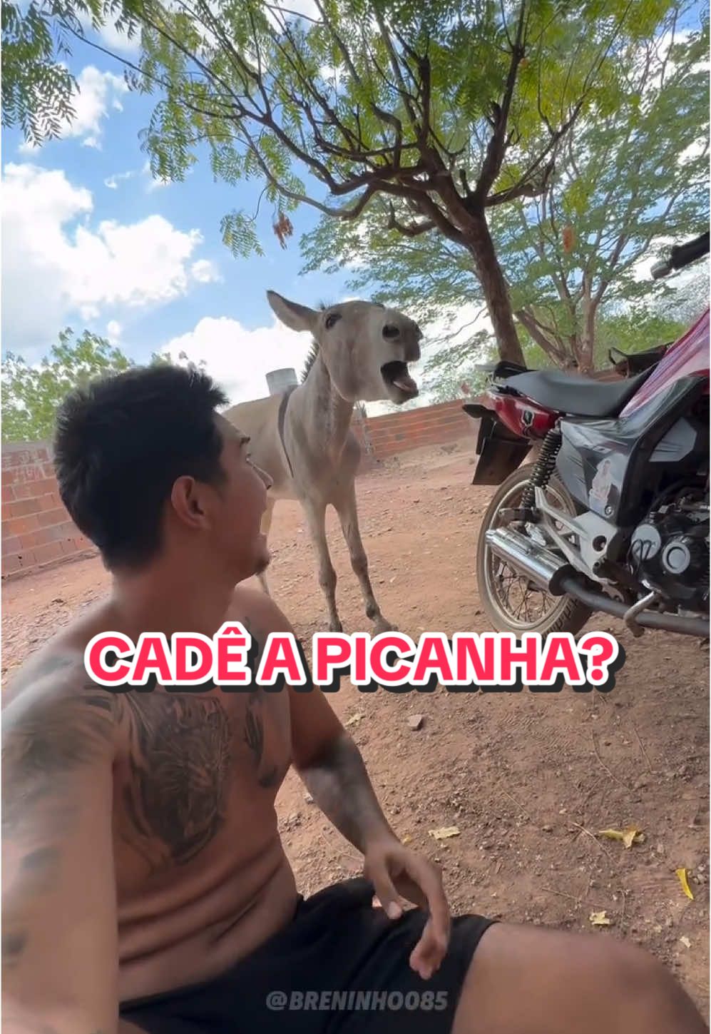 #fy #fyp #picanha #churrasco #carne #lula #absurdo #lulamente #lulaladrao #bolsonaropresidente #bolsonaro2026 #politica #brasil #humor #humortiktok 