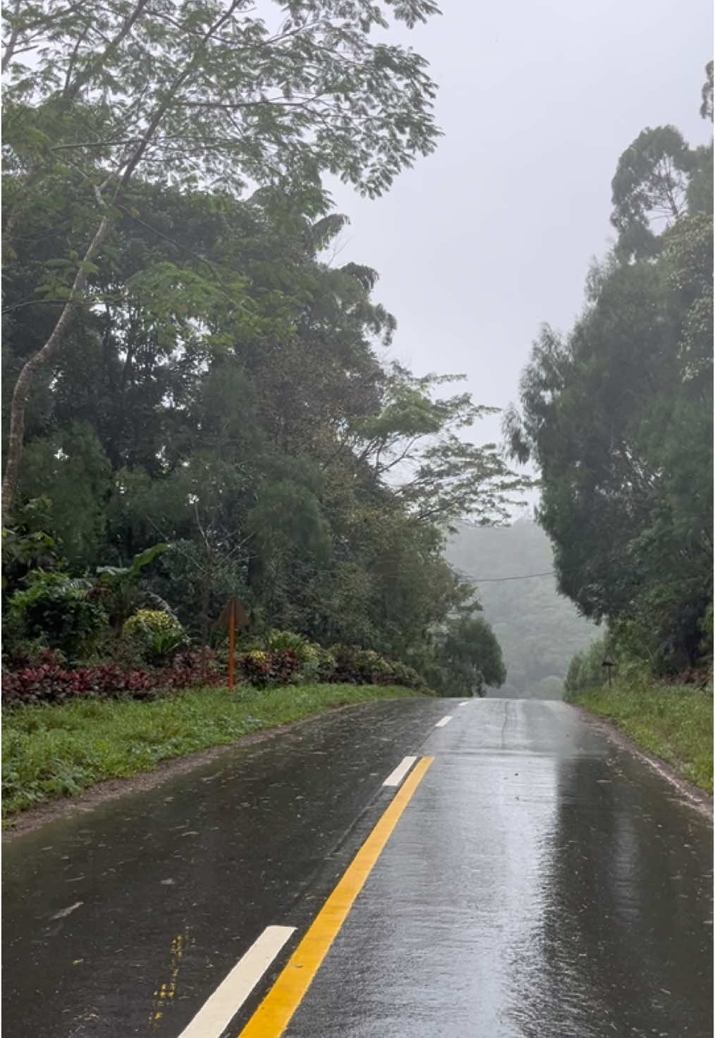 Rainy days bring peaceful  vibes🍃  #longride #roadtrip ##quezonprovince #fyppppppppppppppppppppppp #adv160 #