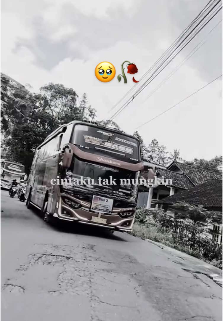 Cepet sembuh yah 🥹🥀 #fyp #busmania #memebus #basuri #bocilsukabasuri #kontenkreatorasik #9corongbasuri #vegass #qqtrans #qqtransvegas 