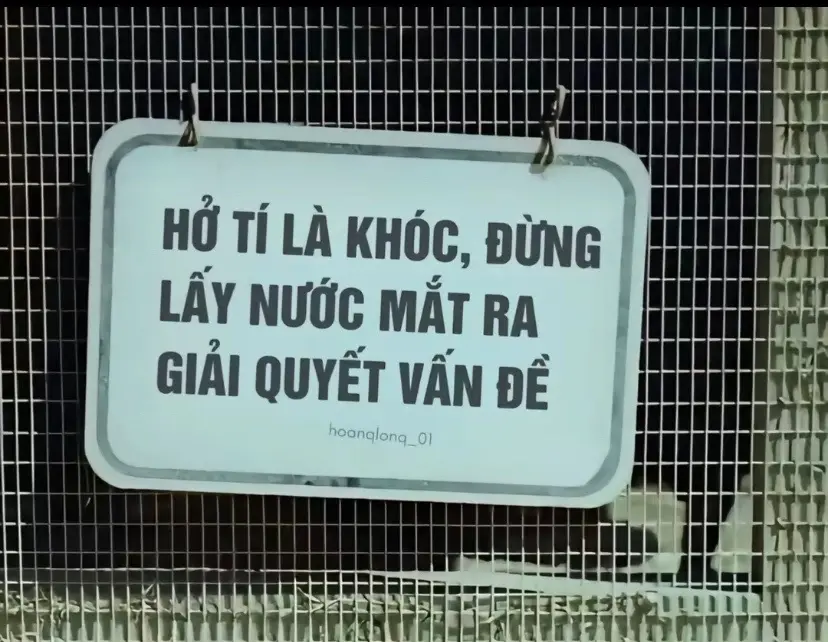 de khoc de cuoi