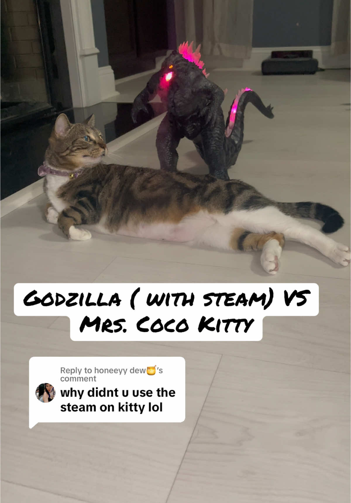 Replying to @honeeyy dew🍯 Mrs. Coco Kitty is still unbothered with the steam  #fypツ #godzilla #trending #catsoftiktok #fyp 