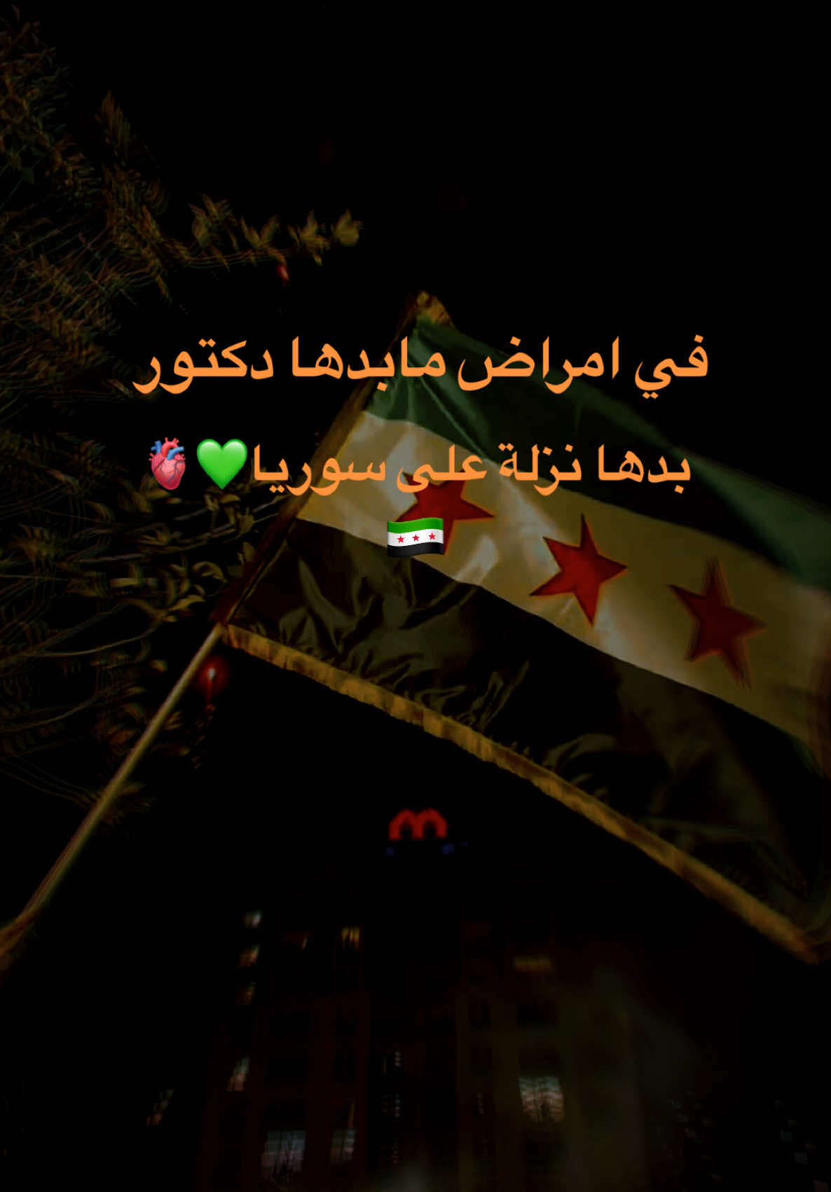 سوريا وبس💚💚#سوريا #بلدي #حماه #حمص #حلب #ادلب #دمشق #ديرالزور #كسبلور #💚💚💚 