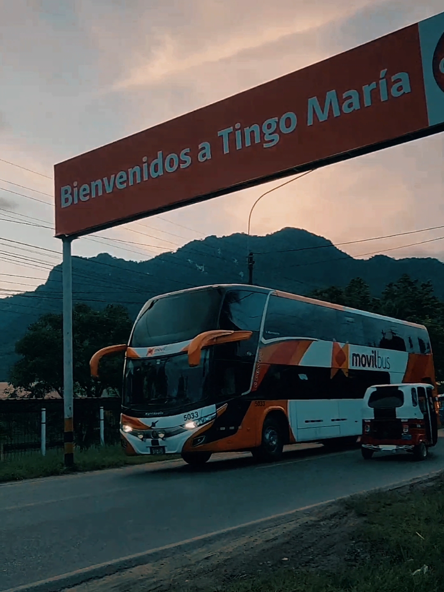 sigue adelante #movilbus #bus #marcopolo #brasil #perú #tingomaria #conductores #viaja #vive #juntos 