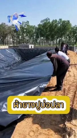 #ปูผ้าpeบ่อกุ้งบ่อปลา🦐🐟 #พลาสติกปูบ่อปลา วัสดุ HDPE คุณภาพสูง, ทนทานและใช้ได้นาน, เหมาะสำหรับน้ำพุ, ทนต่อการเสื่อมรากและทนทาน,