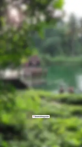 ഗ്രാമീണം ❤️❤️❤️❤️