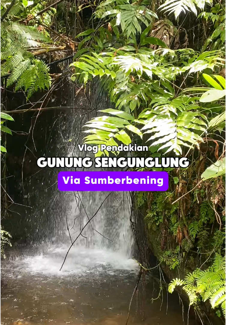 Tanpa ada part-part an. Simak sampai akhir. #pendakigunung #pendaki #trenggalek 