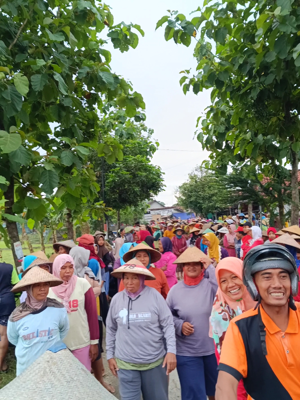 tandur bengkok lurah desa palon @blora_updates @infoblora @infoblora.id @iniblora @ariefrohman838 @blora_sekitar #fyp #fypシ #fypシ゚viral #blora 