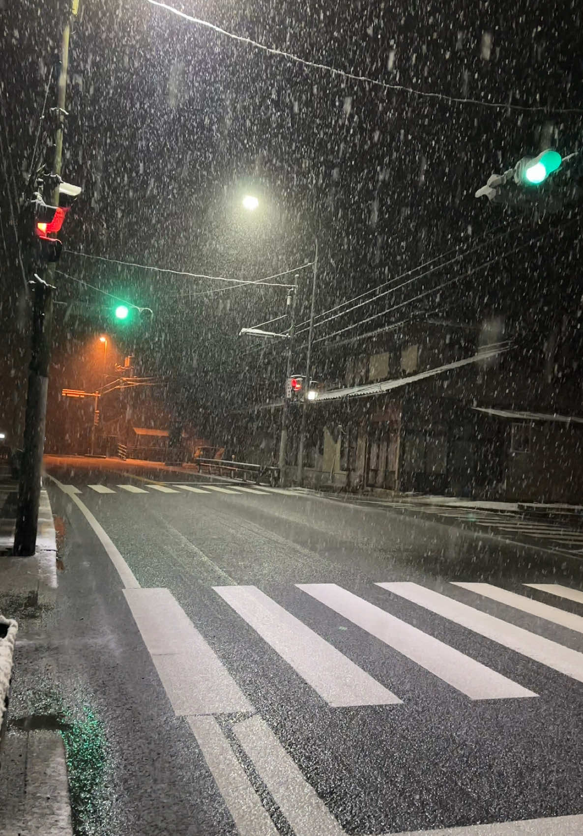 #japan #japanvibes #snow #おすすめ #fypシ 