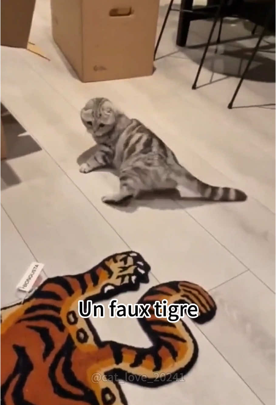 Drôles de chats 🤣🤣#cat #cats #funnycats #catsoftiktok #funnypets #funnyvideo #foryou 