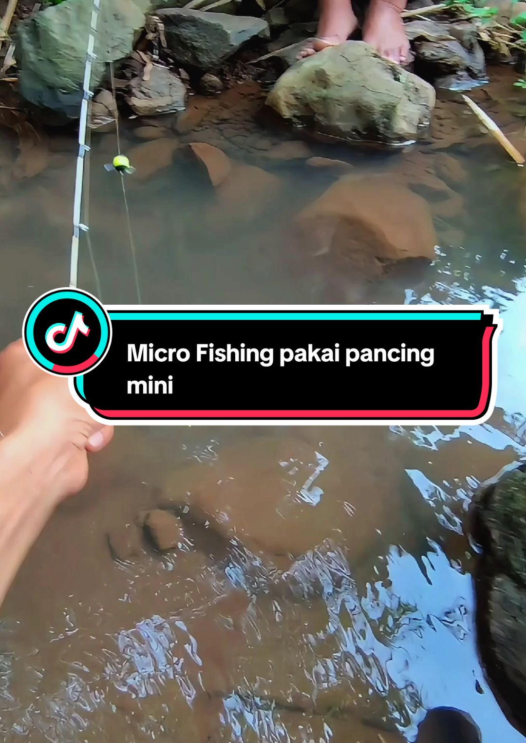 Kemana bolo #lewatberanda #untukmu #mancing #fishing #4u #feed #mancingnila #cara #howto #bismilahfyp #bismillah #bismilahrame #fyp #semuaorang #xybca #viral #viralin #meme #nila  Agus Coba Viral Dengan Nyenggol Fuji