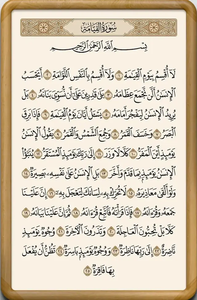 بسم الله أصبحنا وأمسينا، أشهد أن لا إله إلا الله وأن محمد رسول الله، وأشهد أن الجنة حق، والنار حق، والساعة آتية لا ريب فيها، وأن الله يبعث من في القبور #islamic_video #islam #سوره #الاسلام #قران #قران_كريم #قرآن_بصوت_جميل #قرآن_كريم_أرح_قلبك_وسمعك 
