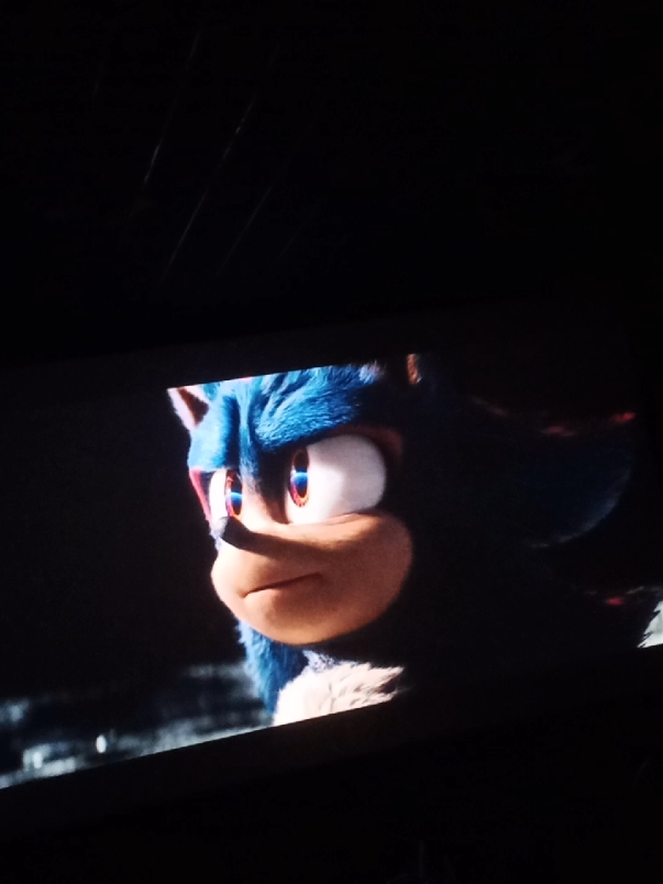 Él es hermoso #shadowthehedgehog #sonicthehedgehog #sonicmovie3 #fyp #fyp #fyp 