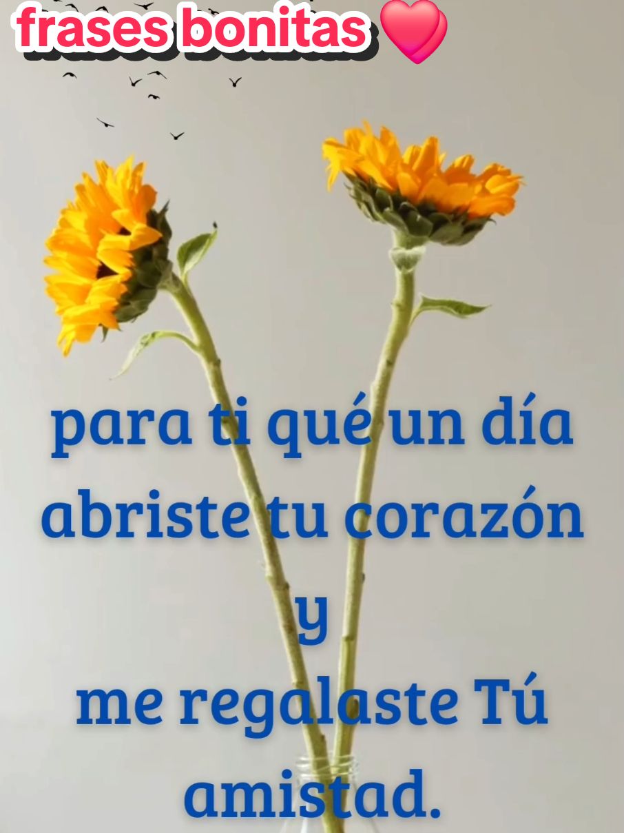 frases bonitas para ti qué un día abriste tú ❤️  #amiga #amistadessinceras  #❤️🫶#tiktokviral #frases_de_todo 