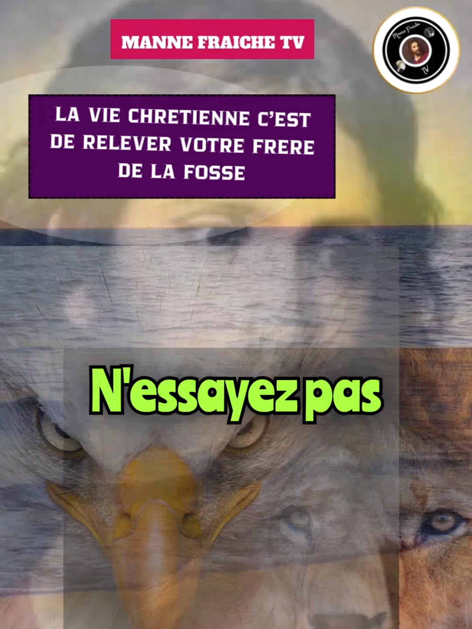 LA VRAIE VIE CHRETIENNE ???? C'EST DE PARLER DE BONNE CHOSE SUR UN Frère. #williammarrionbranham #messagedutempsdelafin🦅 #williammarrionsermon #branhamtabernacle #williammarrionbranham🦅 #messagedelheure #epouseduchrist #williambranham #saintesprit #motivationalvideo #videochretienne #chrétien #inspirationalquotes #prière #peuple #conseil #Dieu #motivationchretienne #motivation #sansargentsansrienpayer #vie #chrétienne