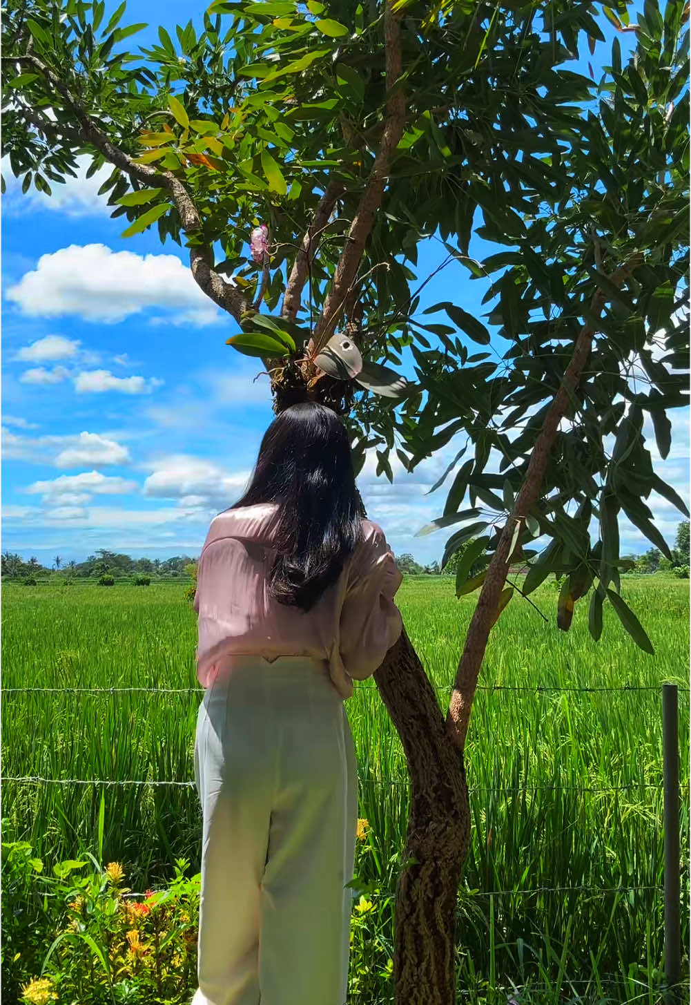 🕊️🌈 Saturday view 