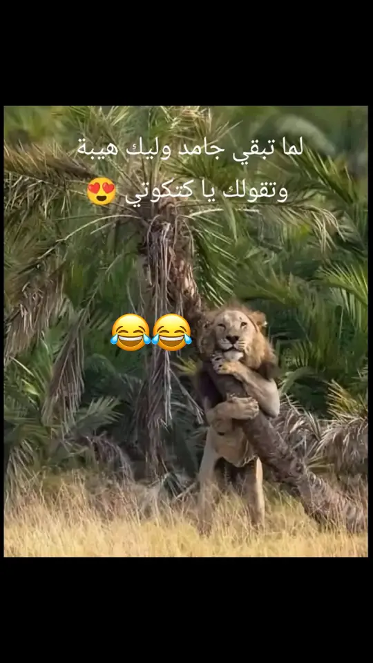 كتكوتي😂#الشعب_الصيني_ماله_حل😂😂 #اضحك😂 